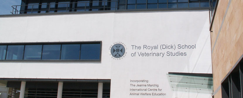 IMAGES Stained Glass Services